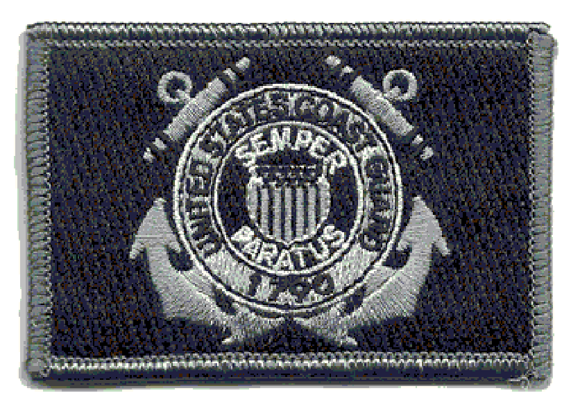 http://www.buckuptactical.com/cdn/shop/products/buckup-tactical-morale-patch-hook-uscg-coast-guard-seal-patches-3x2-343522_836x.png?v=1697467262